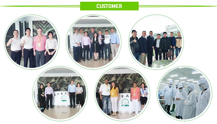 Organic Freeze-dried longan durian