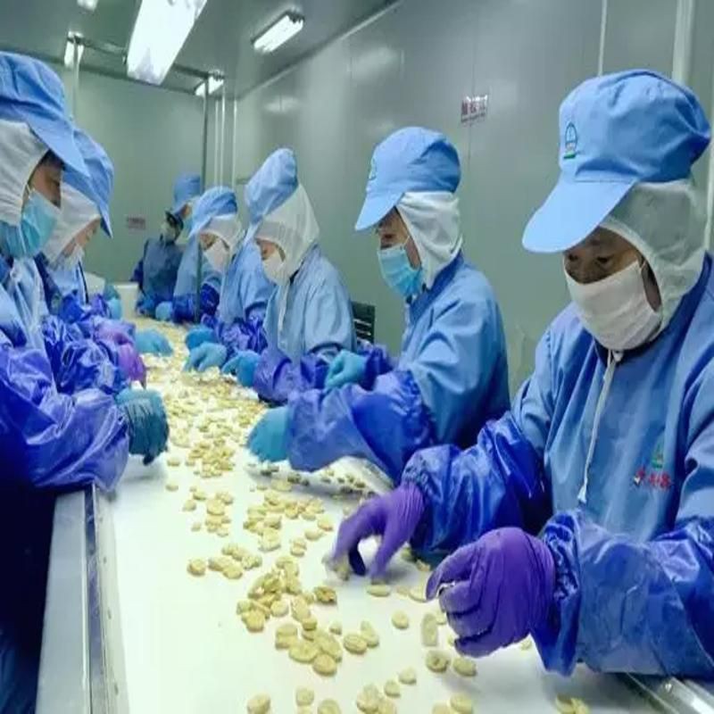 H451a7285770b4f818f480494ed0a55faT001 H451a7285770b4f818f480494ed0a55faT001