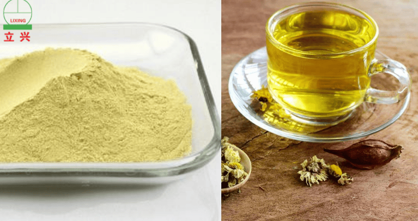 Chrysanthemum Tea