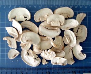 Freeze Dried Mushrooms